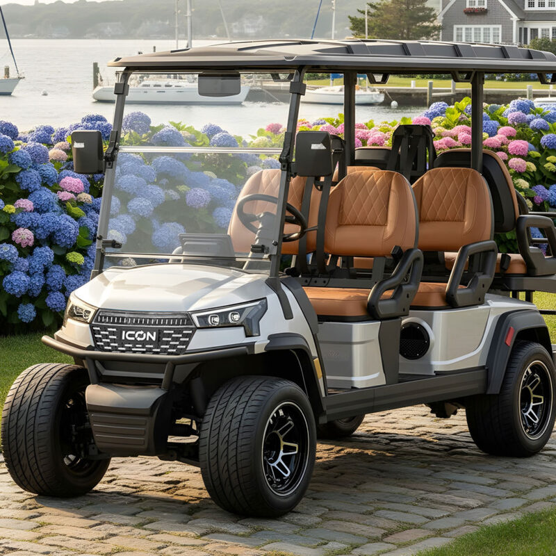 ICON i60X Golf Cart Silver 10